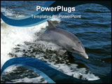 PowerPoint Template - It is good looking of under water dolphins, it is a beautiful