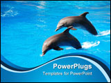 PowerPoint Template - Two dolphin jumping in Durban