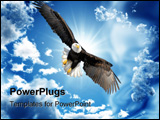 PowerPoint Template - Bald eagle flying in a cloudless sky in Alaska