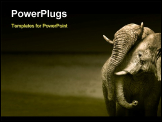 PowerPoint Template - Elephants interacting (Artistic processing)