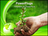 PowerPoint Template - farmer hand holding a fresh young plant symbol of new life and environmental conservation