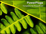 PowerPoint Template - fern leaves