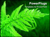 PowerPoint Template - leaf in a forest