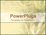 PowerPoint Template - Golden Christmas montage
