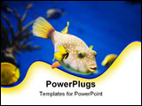 PowerPoint Template - country Spain - Barcelona Aquarium close up