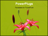 PowerPoint Template - Red lily isolated on green background