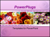 PowerPoint Template - a group of colorful roses lying on their sides