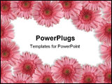 PowerPoint Template - Beautiful border ( frame ) from gerberas for your spring designs