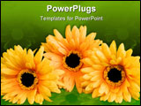 PowerPoint Template - yellow artificial silk flowers over green painted wall