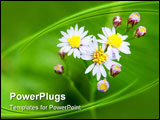 PowerPoint Template - purple flowers and flower buds on green blurred background