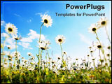 PowerPoint Template - flower in summer under blue sky with copyspace