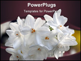 PowerPoint Template - garden flowers