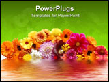 PowerPoint Template - Flowers with petals of various colours and their reflexion in water