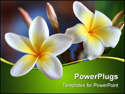 PowerPoint Template - wedding flower arrangement