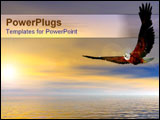 PowerPoint Template - Eagle flying over ocean at sunset.