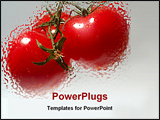 PowerPoint Template - beautiful tomatoes in triplet form. healthy, beneficial, low calorie food