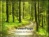 PowerPoint Template - Early morning sun in the green forest