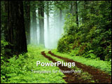 PowerPoint Template - a path is in the green forest