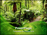 PowerPoint Template - Walking trail in New Zealand tropical forest