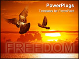 PowerPoint Template - Freedom Wings of Pigeons on the sunset over the sea