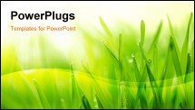 PowerPoint Template - Fresh grass with dew drops close up