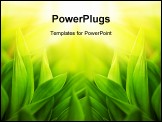 PowerPoint Template - Fresh green grass