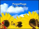 PowerPoint Template - Studio isolated butterflies and sun flower with sky background