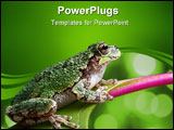 PowerPoint Template - A baby grey tree frog is perched on a branch of pokeweed