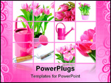 PowerPoint Template - tulip flowers and watering can. Isolated over white background