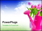 PowerPoint Template - tulip flowers and watering can. Isolated over white background