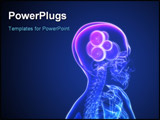 PowerPoint Template - 3d rendered x-ray illustration of a human head with gears in the brain