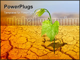 PowerPoint Template - green plant on background of cracked soil