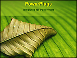 PowerPoint Template - withered and dry leaf