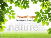 PowerPoint Template - Green Leaves Foreground on white background isolated