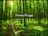 PowerPoint Template - a path is in the green forest