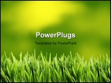 PowerPoint Template - Green and yellow grass background great for scrap booking