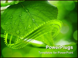 PowerPoint Template - green leaves reflecting in the water shallow focus
