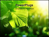 PowerPoint Template - fresh green leaf of linden tree glowing in sunlight