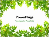 PowerPoint Template - green leaf frame isolated on white background with copy space area