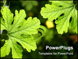 PowerPoint Template - a plant design plants form in nature
