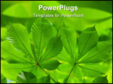 PowerPoint Template - highly detailed image of green leaves shallow focus