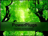 PowerPoint Template - 