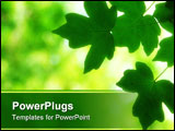 PowerPoint Template - beautiful green leaves against soft blured background