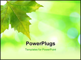 PowerPoint Template - Beautiful green leaves with green background in spring