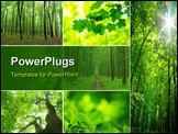 PowerPoint Template - green leaves background in a sunny day