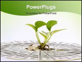 PowerPoint Template - little plant on the heap of dollars