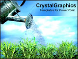 PowerPoint Template - Bucket watering grass.