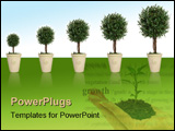 PowerPoint Template - A plant gowing through different growth stages