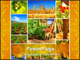 PowerPoint Template - Harvest concept collage with a gardener working on the field