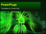 PowerPoint Template - Digital illustration of heart, kidney and nerves in color background